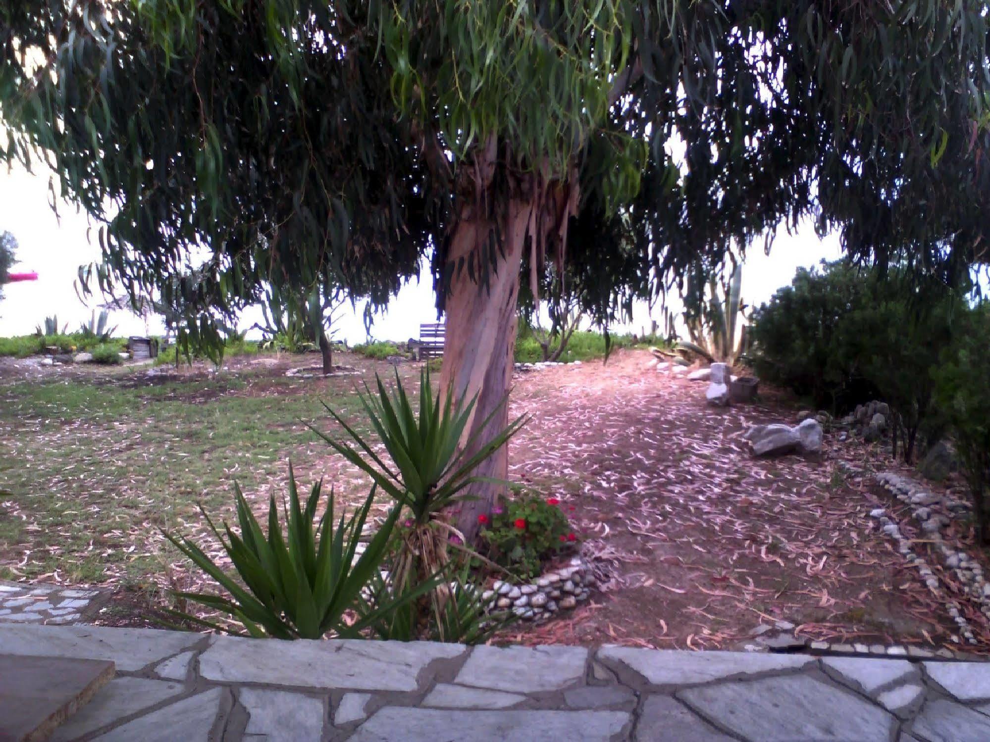 Agrelia House Villa Ouranoupoli Exteriör bild